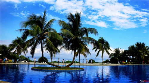 酒鲜特色火锅串串