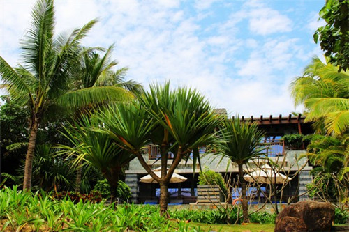 粥公粥婆特色养生粥