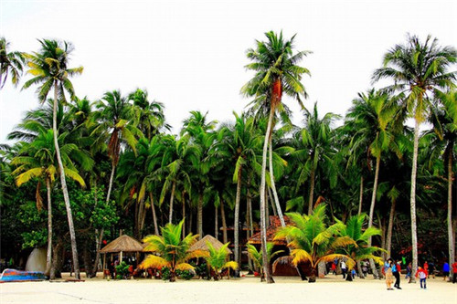 钟祥市鸭迷鸭蜜泰式烤鸭饭加盟揭秘赚钱商机与经营策略