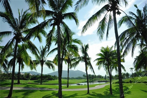 黔家乐摇滚炒鸡连锁店有多少