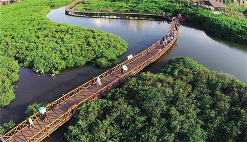 创业新型水果店怎么样开