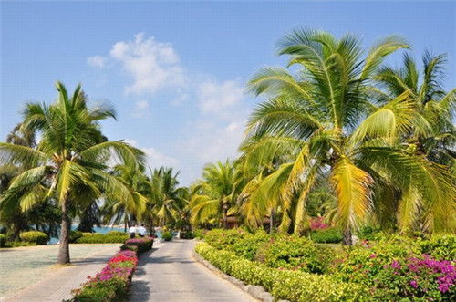 奥特曼的十大优点是什么（奥特曼的卖点）