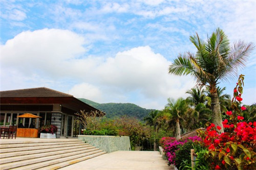 猪肚炒大葱叶子可以吃吗（猪肚炒大葱怎么做好吃）