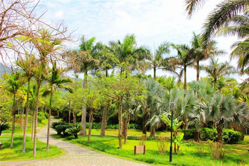 奶茶加盟店哪个品牌信誉好，呦呦奶茶加盟口碑如何