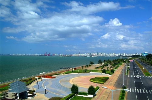 木莓跟树莓有什么区别（木莓树图片）